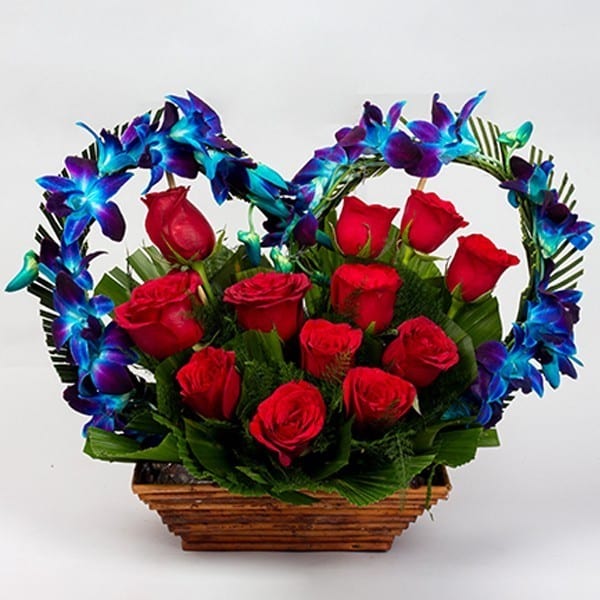 Blue Orchids & Red Roses