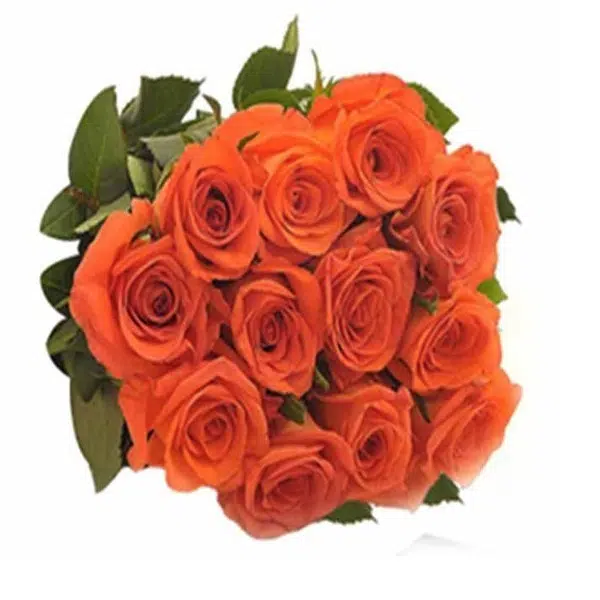Custom Orange Roses