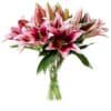 Customize Pink Oriental Lillie’s