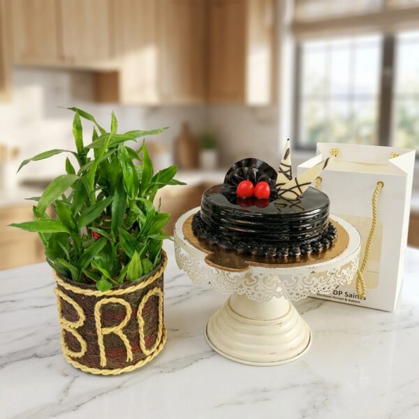 Lucky bamboo plant (BRO) with Cake