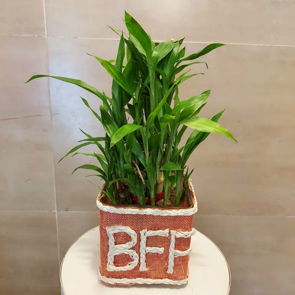 : BFF (Best Friend Forever ) in Bamboo