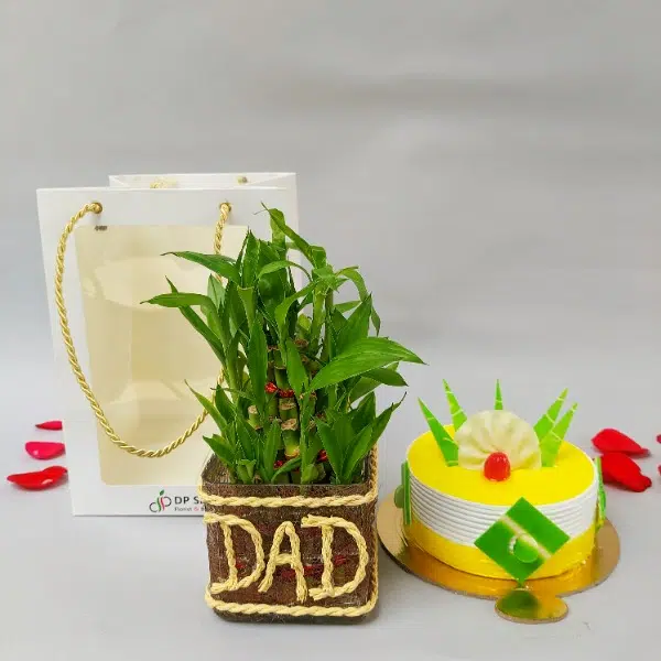Bamboo & Cake Combo
