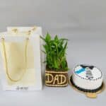 Bamboo & DAD Cake Combo