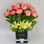 Lille & Carnation in Box