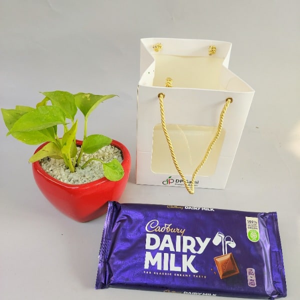 Money Plant with Chocolate