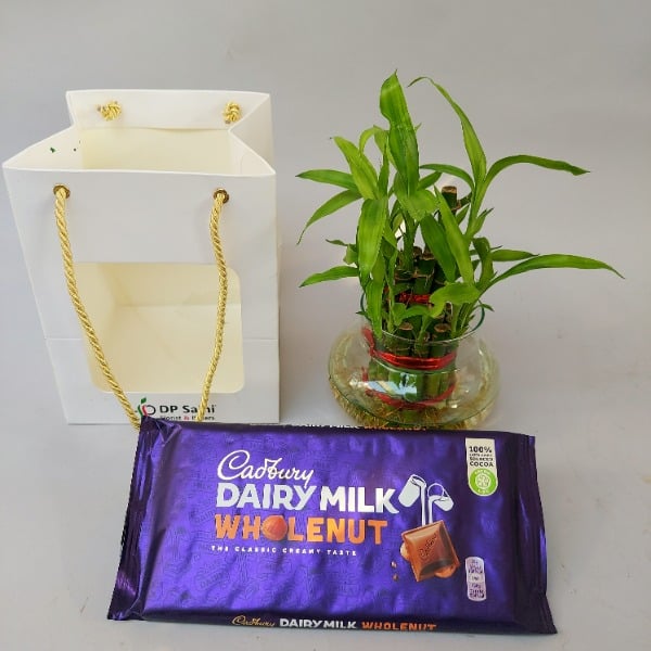 Bamboo with Chocolate