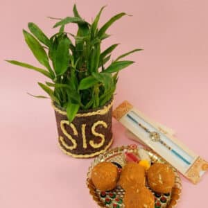 Rakhi-wd-plants