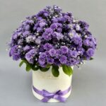 Purple Daisy in Box