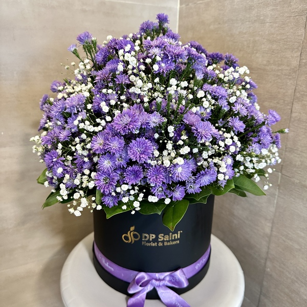 Purple Daisy in Box