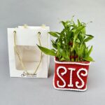 Bamboo Plant (SIS)