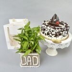 Combo of Plant with Cake