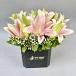 CUBE SERIES – Lilles