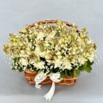 Basket full of Rajnignadha