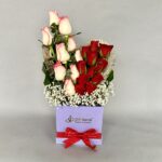 20 Mix Rose in Box