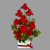 Red Roses in Box