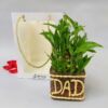 Customised Dad bamboo plant