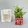 Customised Pati bamboo plant