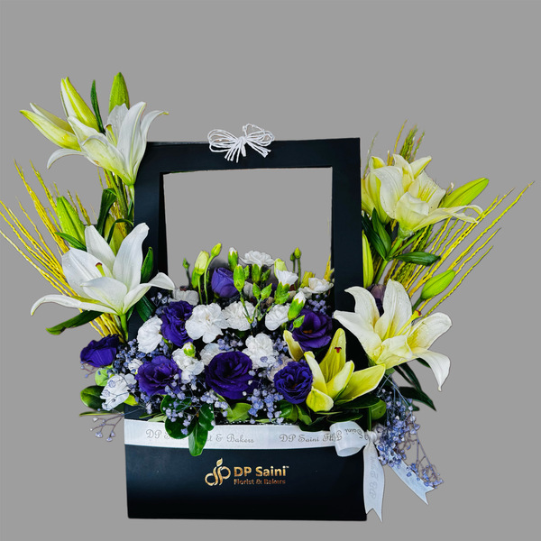 Lille & Carnation in Box