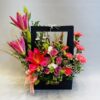 Lille & Carnation in Box