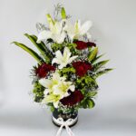 Lille & Carnation in Box