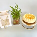 Bamboo Plant & Mango Cake