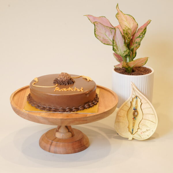 Combo of Plant & Rakhi Cake