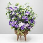 Estoma & Daisy in Jute Basket