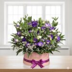 Exotic Purple Shaded Estoma in Box