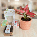 Combo of Plant and Tres Leches