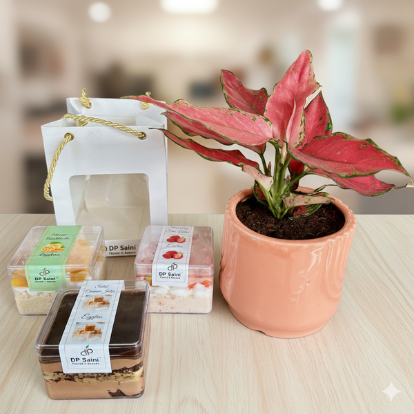 Combo of Plant and Tres Leches