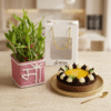 Combo of Maa Bamboo & Cake