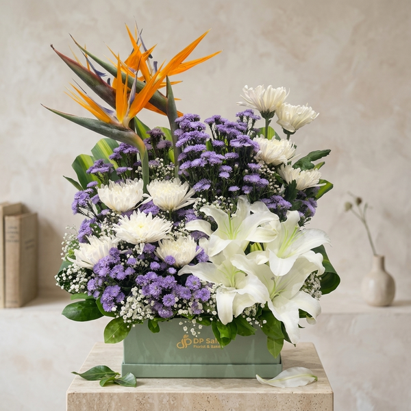 Lille & Bird of Paradise in Box