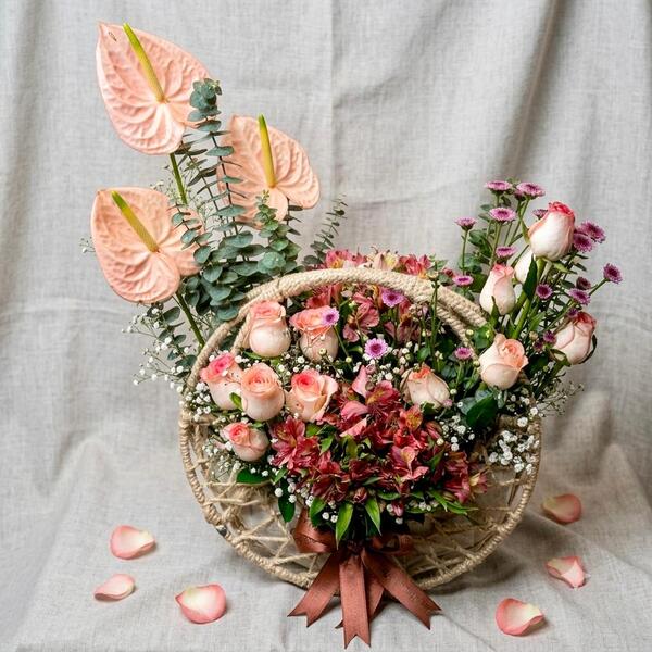 Peach Anthurium Moon Basket